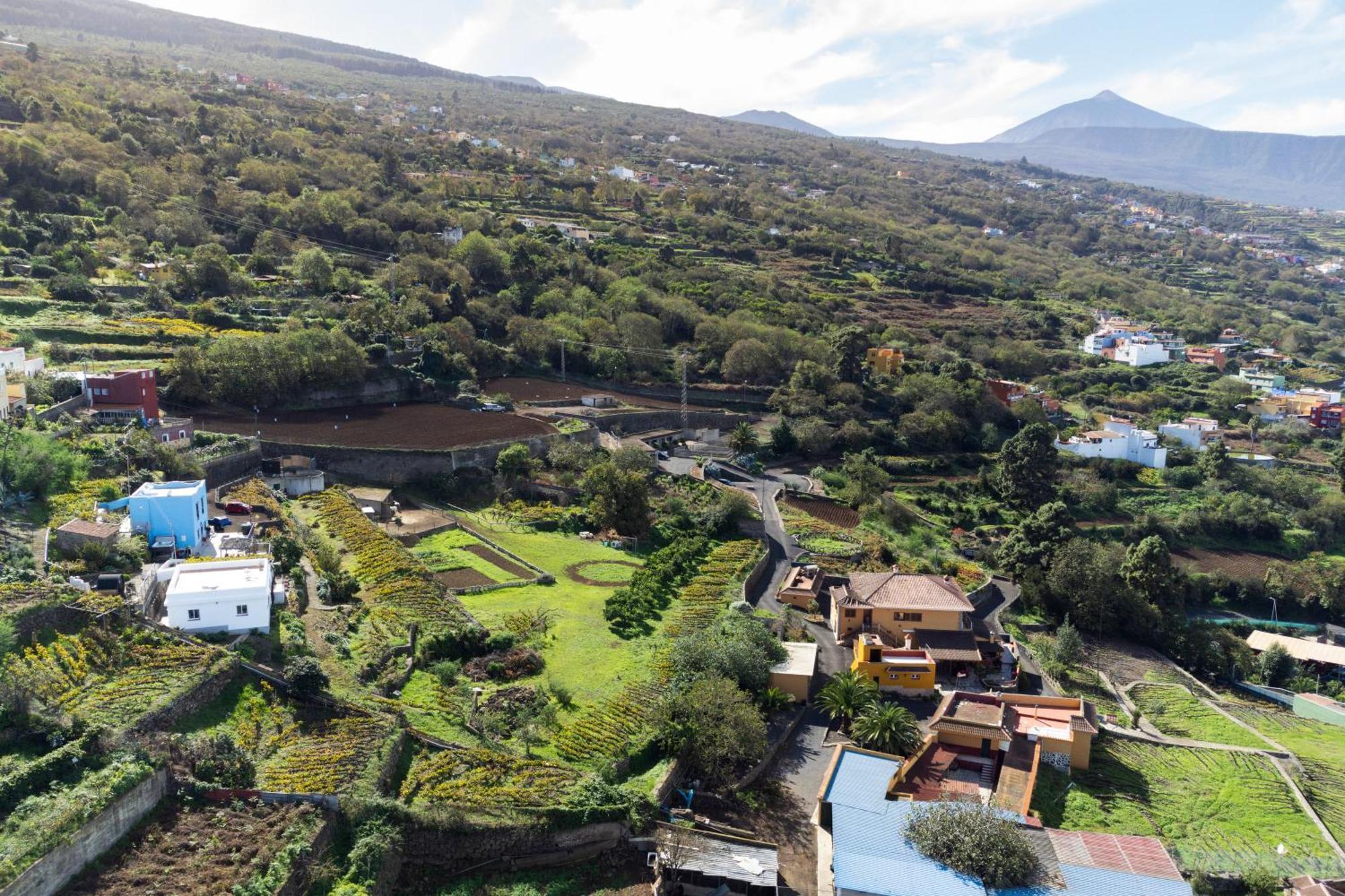 Ek Teide Finca El Milagro 拉奥罗塔瓦 外观 照片