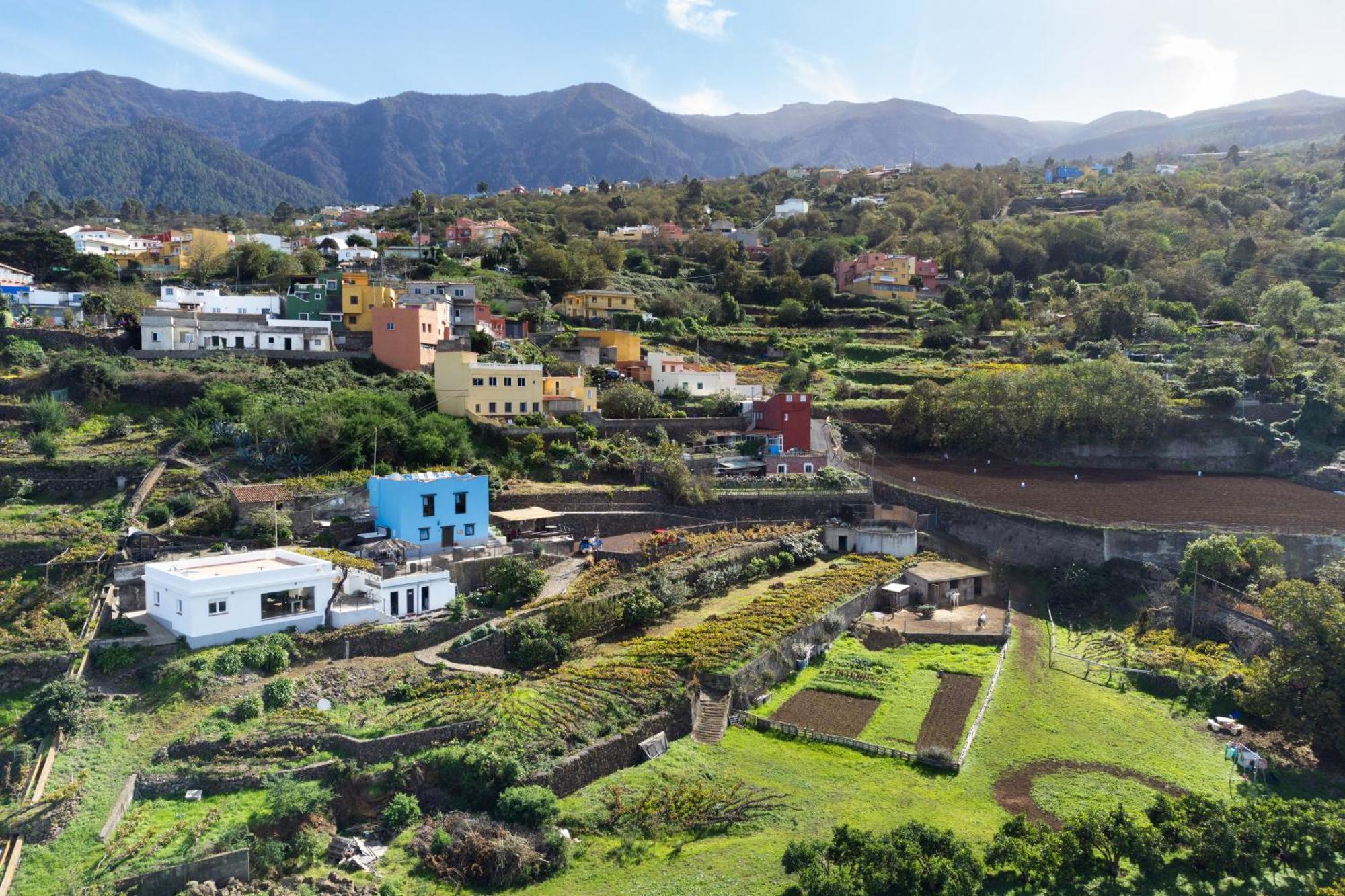 Ek Teide Finca El Milagro 拉奥罗塔瓦 外观 照片