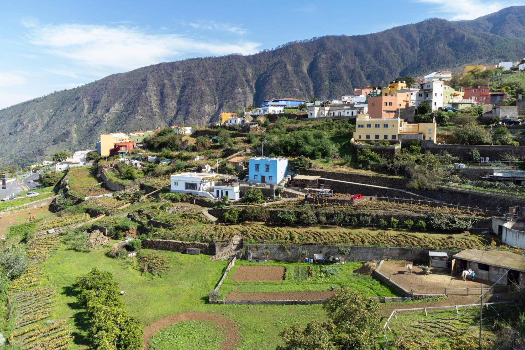 Ek Teide Finca El Milagro 拉奥罗塔瓦 外观 照片