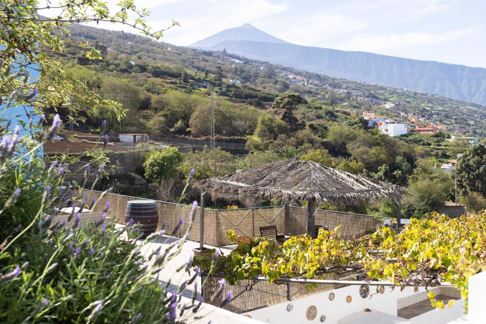 Ek Teide Finca El Milagro 拉奥罗塔瓦 外观 照片