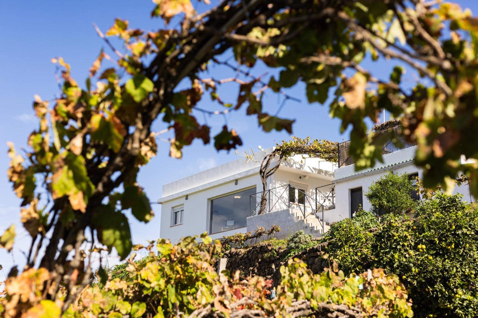 Ek Teide Finca El Milagro 拉奥罗塔瓦 外观 照片
